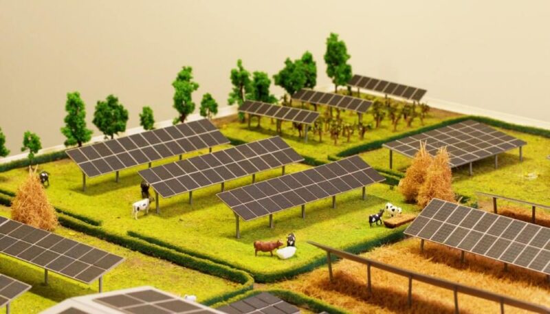 agrivoltaic system model